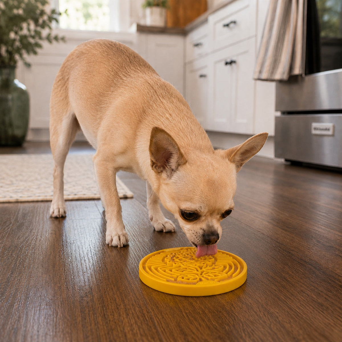Earth eCoin Nylon Lick Mat for Dogs | USA Made Enrichment Toy | SodaPup - SodaPup/True Dogs, LLC - Flyclothing LLC