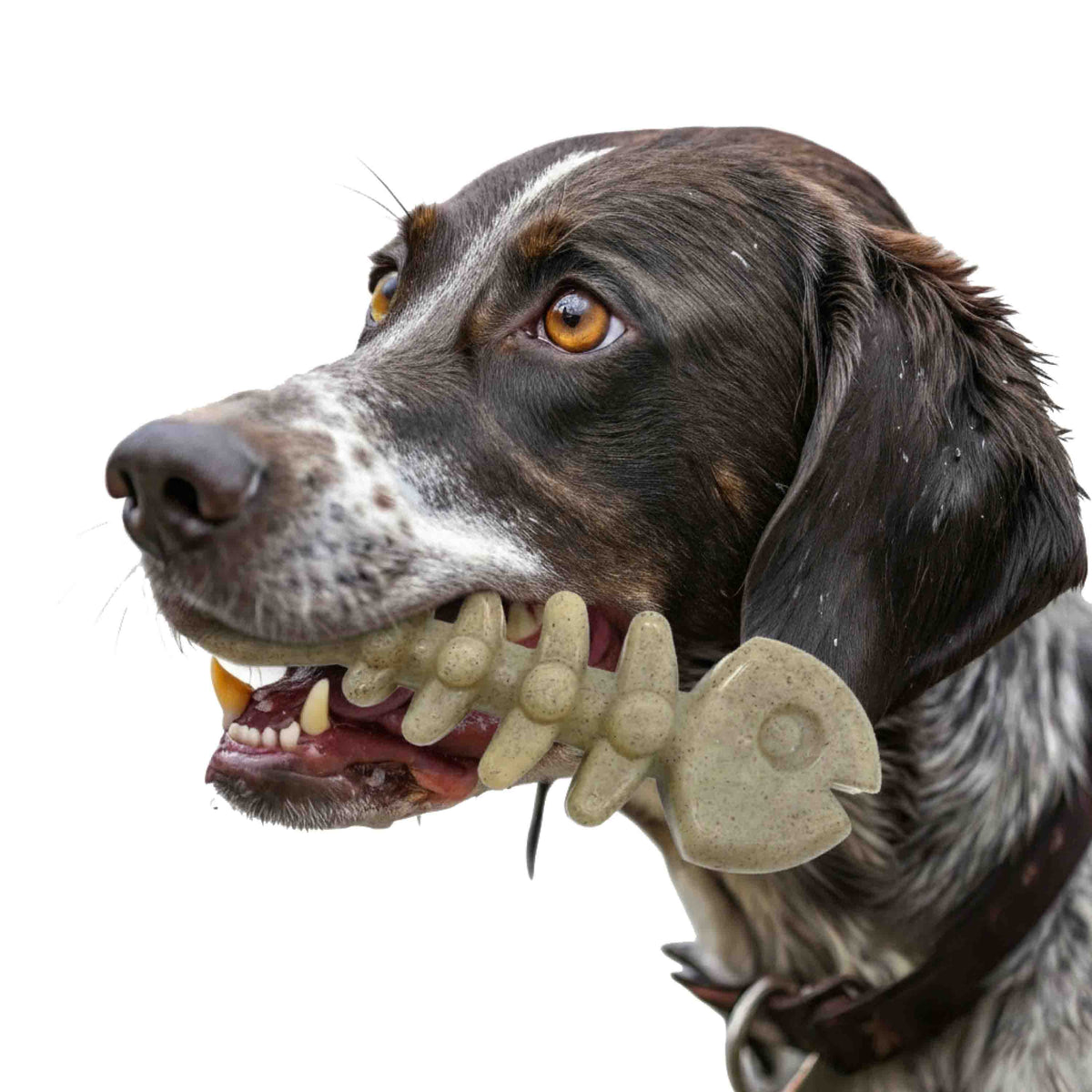 Fish Bone Nylon Dog Toy for Aggressive Chewers | USA Made | SodaPup - SodaPup/True Dogs, LLC - Flyclothing LLC