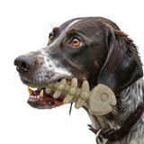 Fish Bone Nylon Dog Toy for Aggressive Chewers | USA Made | SodaPup - SodaPup/True Dogs, LLC - Flyclothing LLC