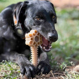 Honey Bone Dental Flower Tower - Durable Nylon Dog Chew Toy XL | USA - SodaPup/True Dogs, LLC - Flyclothing LLC