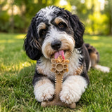 Honey Bone Dental Flower Tower - Durable Nylon Dog Chew Toy XL | USA - SodaPup/True Dogs, LLC - Flyclothing LLC