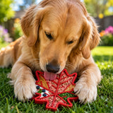 Canadian Maple Leaf Nylon Dog Chew Toy - Durable & USA Made - SodaPup/True Dogs, LLC - Flyclothing LLC