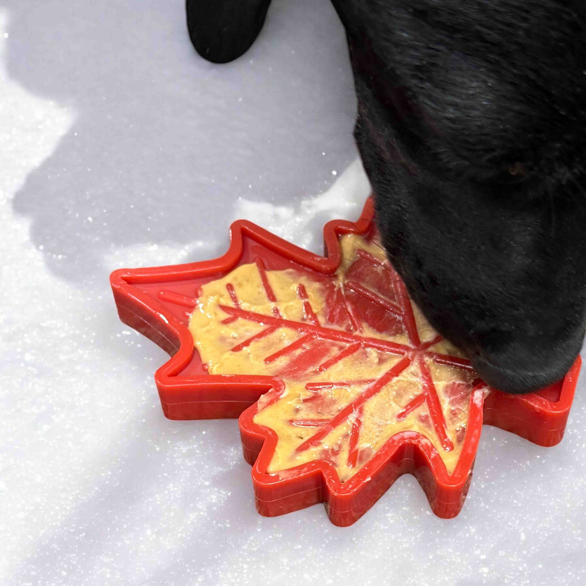 Canadian Maple Leaf Nylon Dog Chew Toy - Durable & USA Made - SodaPup/True Dogs, LLC - Flyclothing LLC