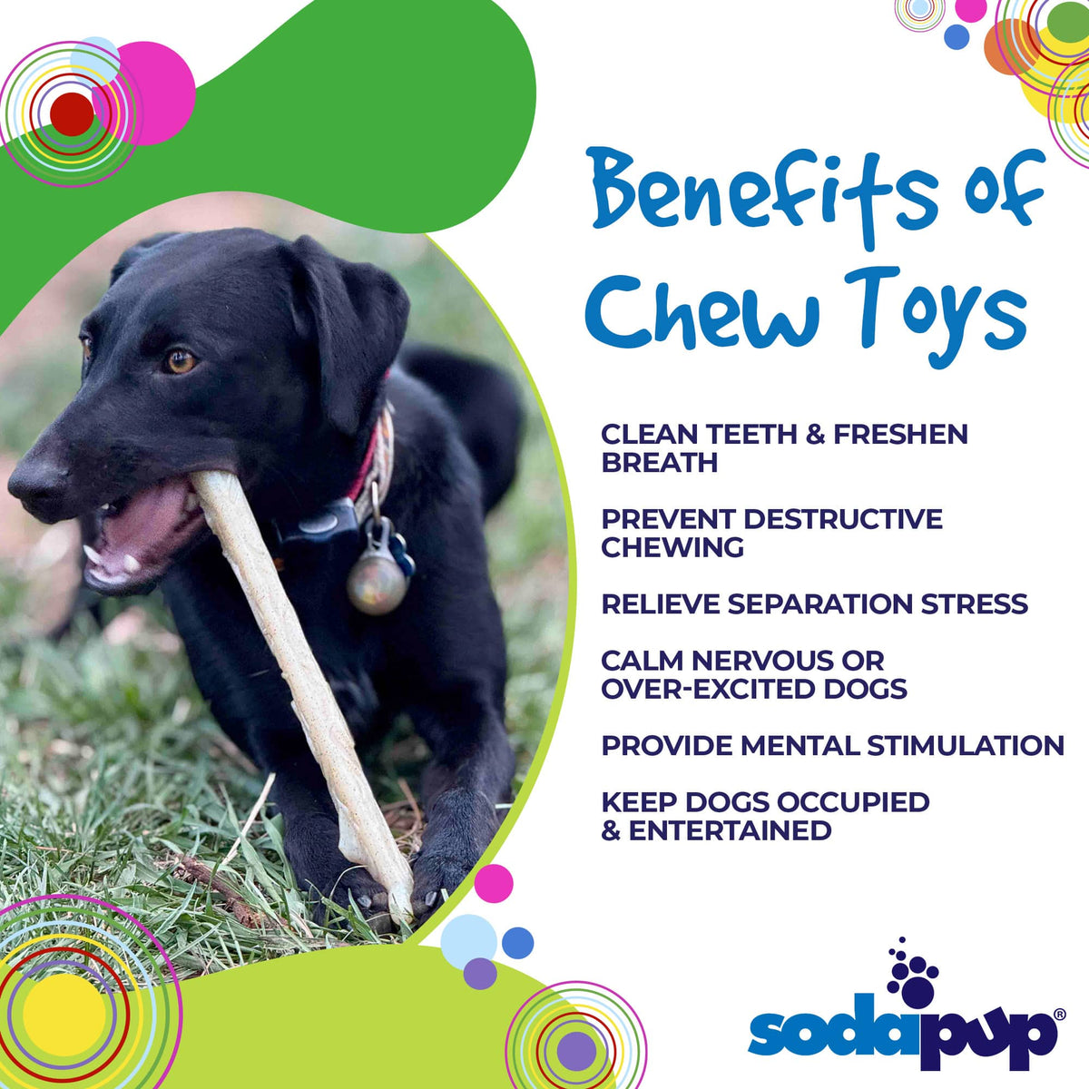 Durable Nylon Glow in the Dark Chew Stick for Power Chewers | USA Made | SodaPup - SodaPup/True Dogs, LLC - Flyclothing LLC