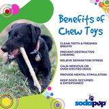 Durable Nylon Glow in the Dark Chew Stick for Power Chewers | USA Made | SodaPup - SodaPup/True Dogs, LLC - Flyclothing LLC