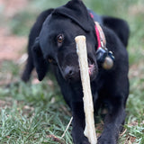 Durable Nylon Chew Stick for Power Chewers | Durable Dog Toy USA - SodaPup/True Dogs, LLC - Flyclothing LLC