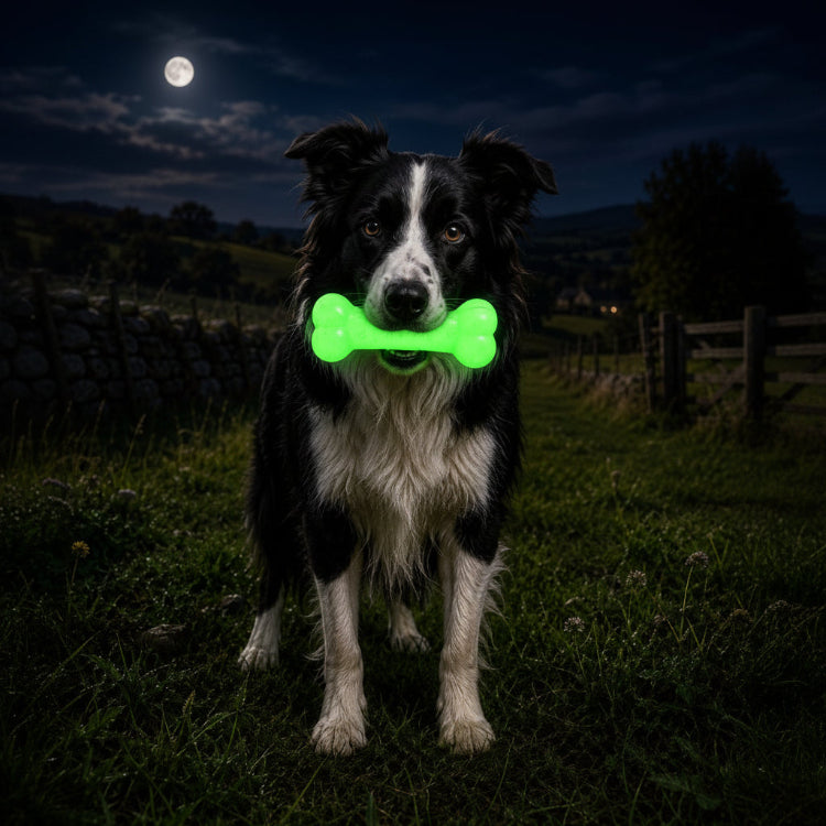PUP-X Rubber Glow in the Dark Chew Bone Dog Toy - Durable, Floats, Chew Toy for Large Dogs | USA - SodaPup/True Dogs, LLC - Flyclothing LLC