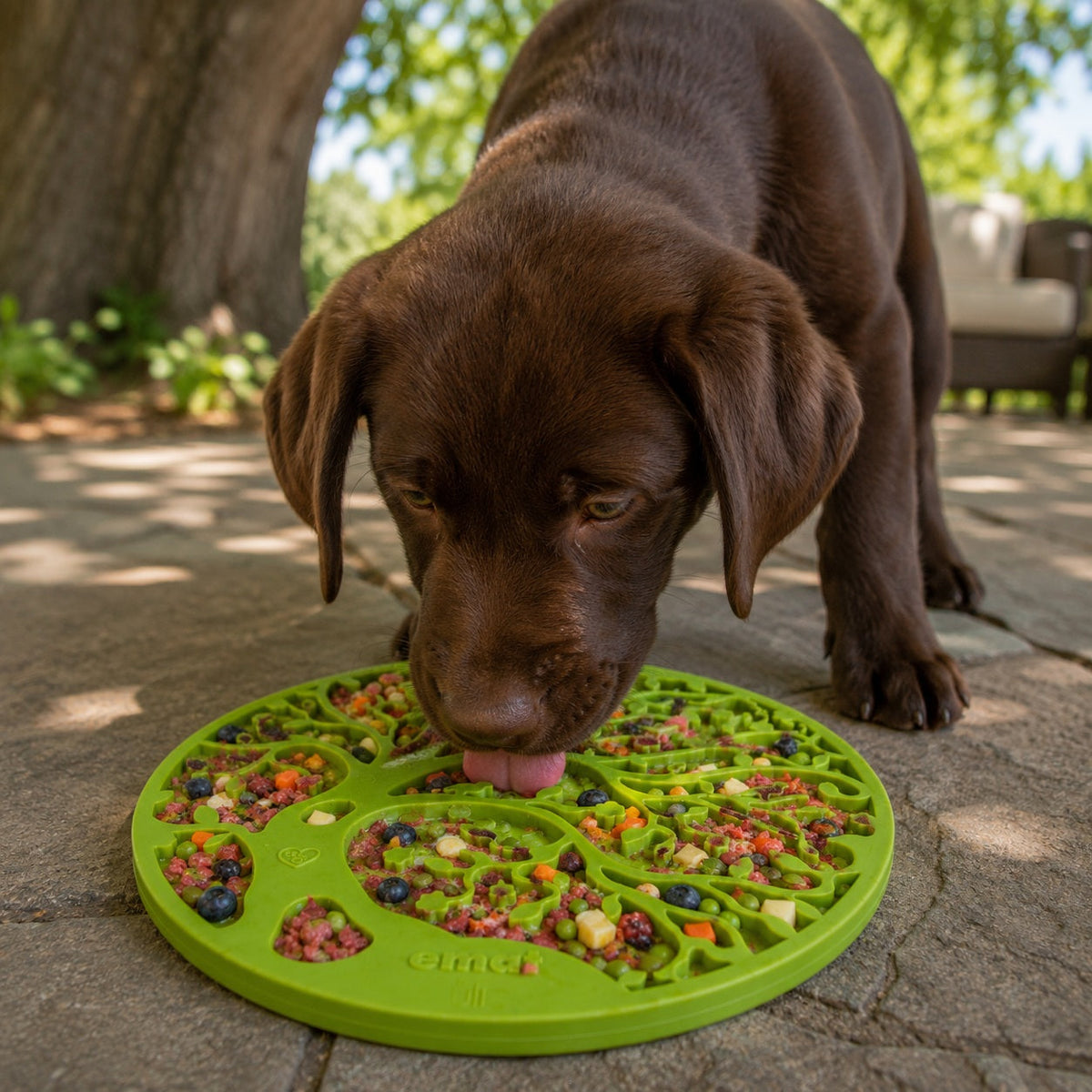 Tree of Life eMat - Enrichment Lick Mat For Dogs and Cats - With Suction Cups | Tree Design | USA Made - SodaPup/True Dogs, LLC - Flyclothing LLC