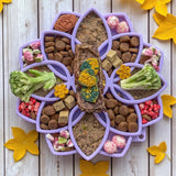 Mandala Softie eTray Shallow Slow Feeder Dog Bowl with Suction Cups | USA Made - SodaPup/True Dogs, LLC - Flyclothing LLC