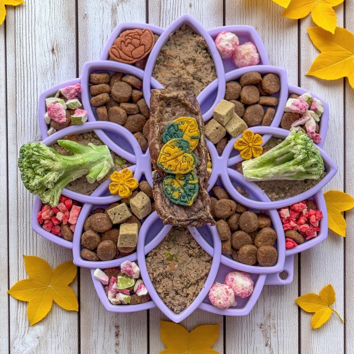 Mandala Softie eTray Shallow Slow Feeder Dog Bowl with Suction Cups | USA Made - SodaPup/True Dogs, LLC - Flyclothing LLC