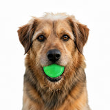 Green Glitter Ball 2-Pack Dog Toy | Soft PUP-X Rubber Floating Fetch Ball with Treat Dispenser | USA Made - SodaPup/True Dogs, LLC - Flyclothing LLC