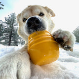 Honey Pot Dog eCup Treat Dispenser | Durable PUP-X Rubber Enrichment Toy | USA Made - SodaPup/True Dogs, LLC - Flyclothing LLC
