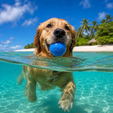 Squeak Ball - Durable Squeaky Dog Toy, Floats, Chew Toy | USA Made - SodaPup/True Dogs, LLC - Flyclothing LLC