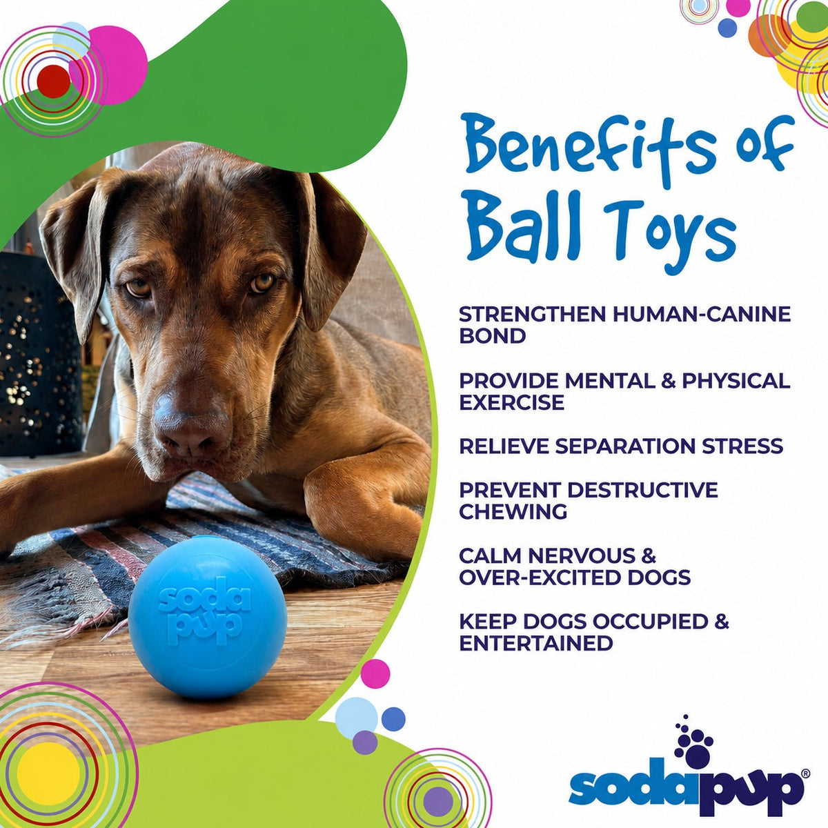 Squeak Ball - Durable Squeaky Dog Toy, Floats, Chew Toy | USA Made - SodaPup/True Dogs, LLC - Flyclothing LLC