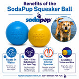Squeak Ball - Durable Squeaky Dog Toy, Floats, Chew Toy | USA Made - SodaPup/True Dogs, LLC - Flyclothing LLC
