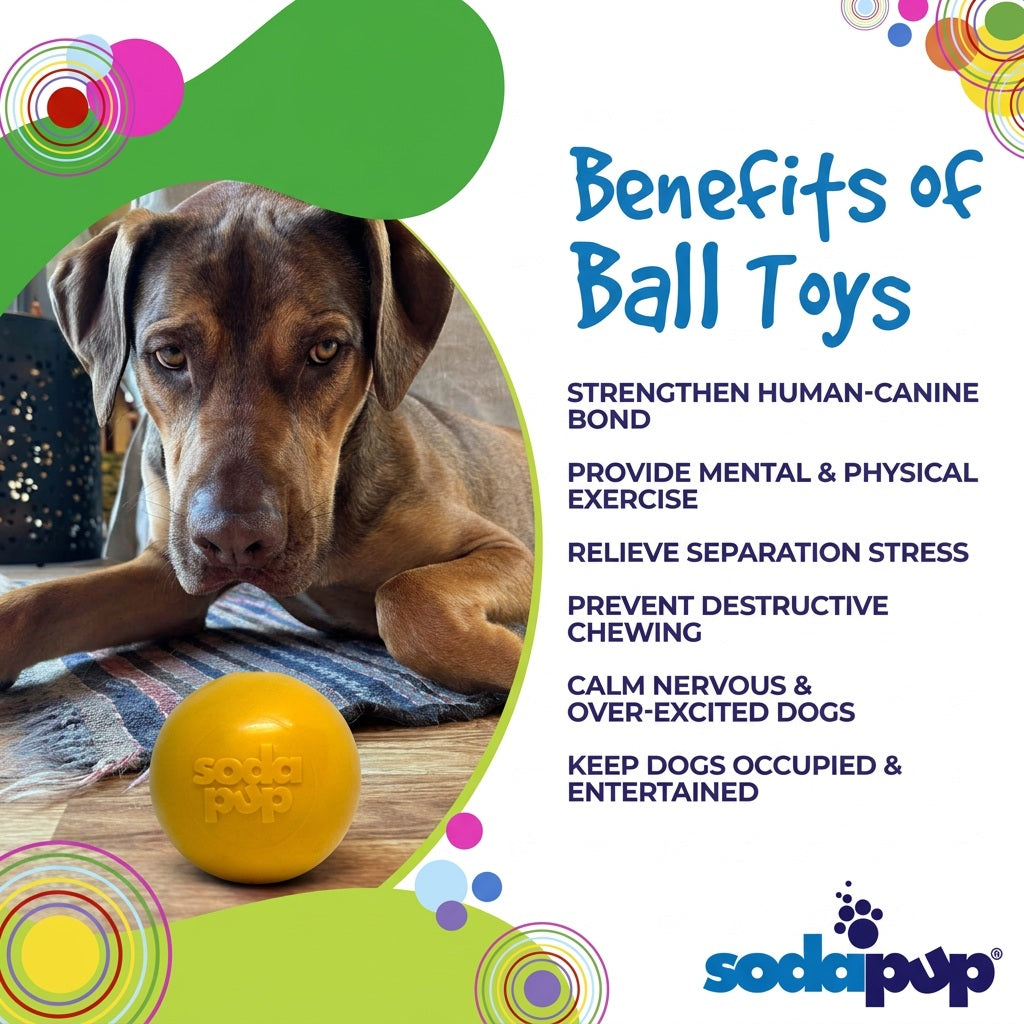 Squeak Ball - Durable Squeaky Dog Toy, Floats, Chew Toy | USA Made - SodaPup/True Dogs, LLC - Flyclothing LLC