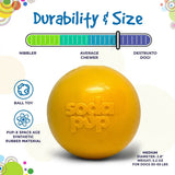 Squeak Ball - Durable Squeaky Dog Toy, Floats, Chew Toy | USA Made - SodaPup/True Dogs, LLC - Flyclothing LLC