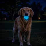 Strobe Ball Light-Up Dog Toy - Durable Floating Chew Ball | Made in USA - SodaPup/True Dogs, LLC - Flyclothing LLC