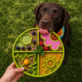 Four Seasons eTray - Shallow Slow Feeder Dog Bowl for Enrichment | USA Made - SodaPup/True Dogs, LLC - Flyclothing LLC