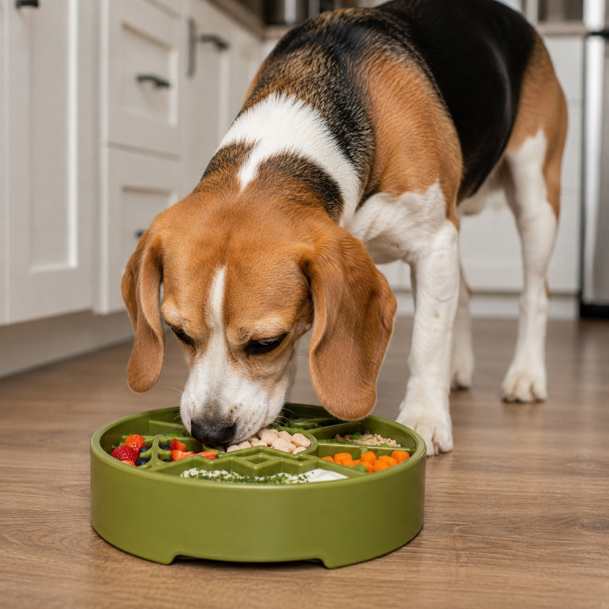 Great Outdoors eBowl - Slow Feeder Dog Bowl & Enrichment | USA Made - SodaPup/True Dogs, LLC - Flyclothing LLC