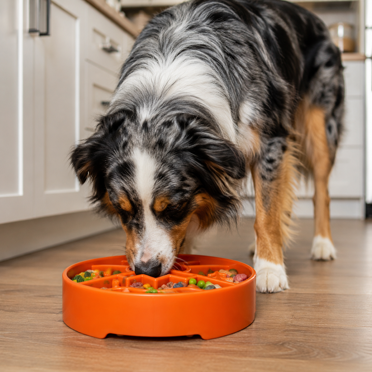 Great Outdoors eBowl - Slow Feeder Dog Bowl & Enrichment | USA Made - SodaPup/True Dogs, LLC - Flyclothing LLC