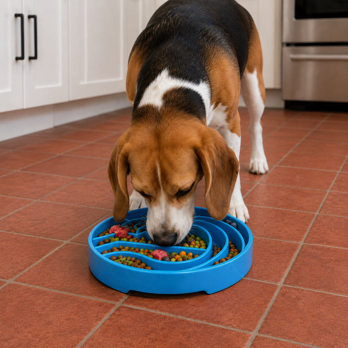 Baja Design eTray - Shallow Slow Feeder Dog Bowl for Enrichment | USA Made - SodaPup/True Dogs, LLC - Flyclothing LLC