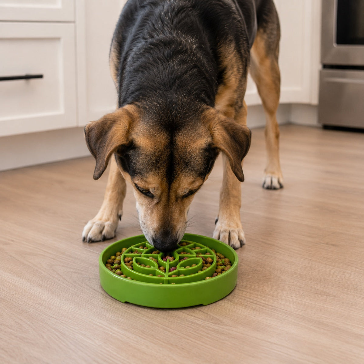 Garden Design eTray - Shallow Slow Feeder Dog Bowl for Enrichment | USA - SodaPup/True Dogs, LLC - Flyclothing LLC