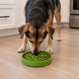 Garden Design eTray - Shallow Slow Feeder Dog Bowl for Enrichment | USA - SodaPup/True Dogs, LLC - Flyclothing LLC