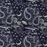 Star Wars Darth Vader Blue and Gray Paisley Scarf - Cufflinks.com - Flyclothing LLC