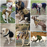 3Pcs Dog Tactical Bags Attaching on Harness Vest 2Pcs Pouch Molles and 1 Belt Bottle Holder Waist Military Training Carrier - ZeeBelle.com - Flyclothing LLC