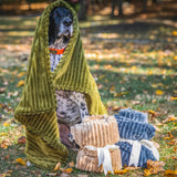 Scout Blankie Double-Sided Plush Dog Blanket - HuggleHounds - Flyclothing LLC
