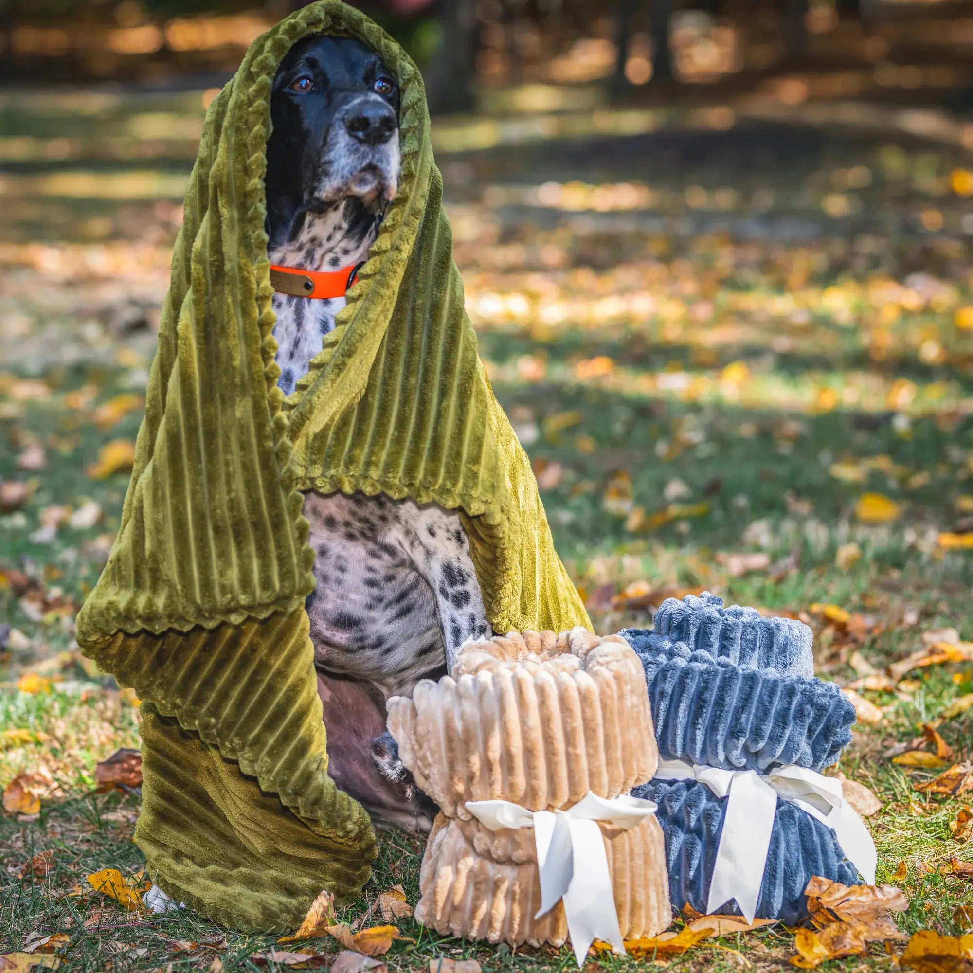 Scout Blankie Double-Sided Plush Dog Blanket - HuggleHounds - Flyclothing LLC