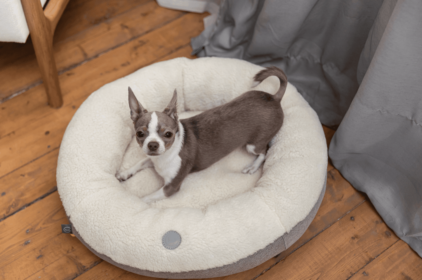 Chester & Lee | Furry Beige Donut Dog Bed - Chester & Lee - Flyclothing LLC