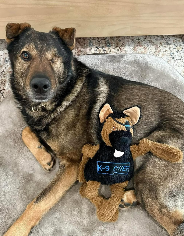 HuggleCause™, Project K-9 Hero, K-9 Chief Knottie® Plush Dog Toy, Large - HuggleHounds - Flyclothing LLC