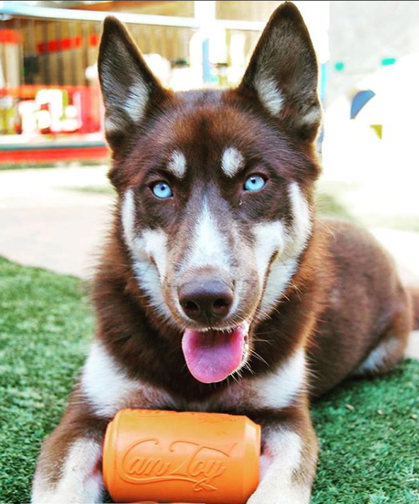 Can Toy Rubber Dog Chew Toy for Average Chewers | Treat Dispenser | USA Made - SodaPup/True Dogs, LLC - Flyclothing LLC