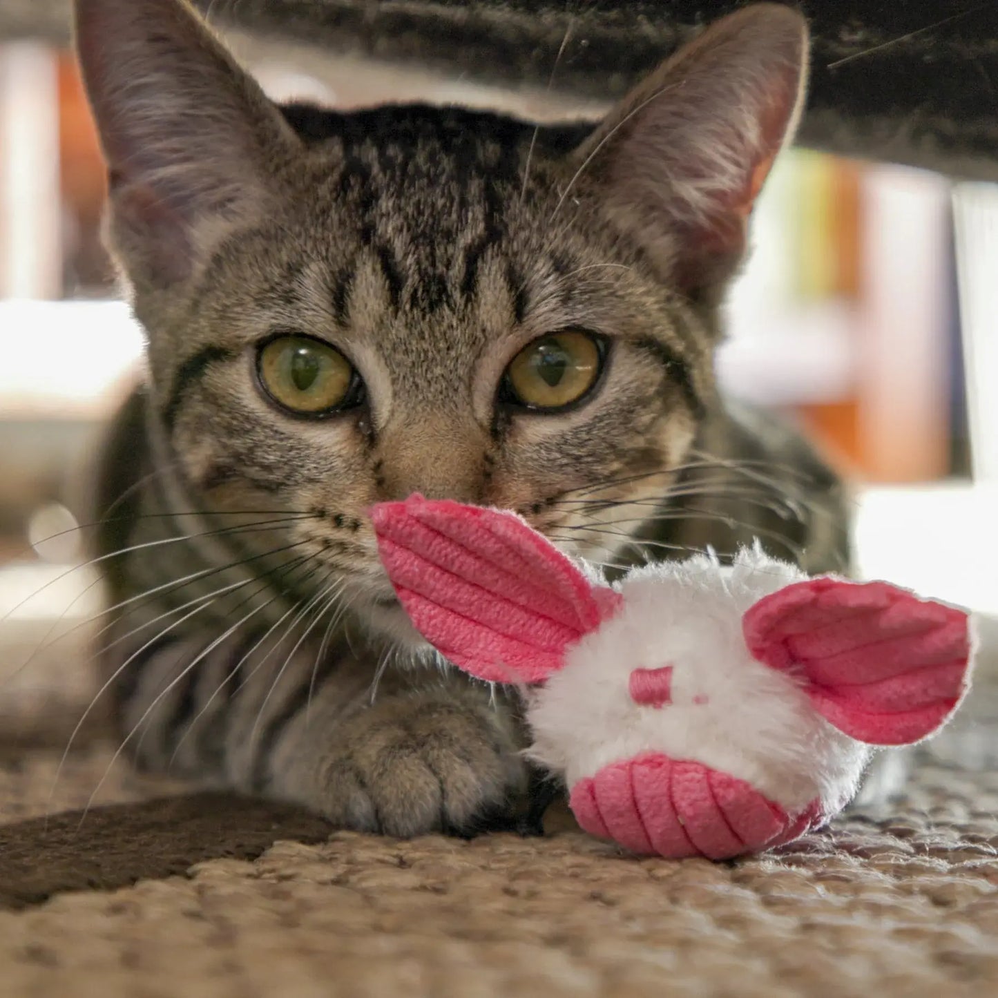 HuggleKats® Dust Bunnies Cat Toys, 3 Pack - HuggleHounds - Flyclothing LLC