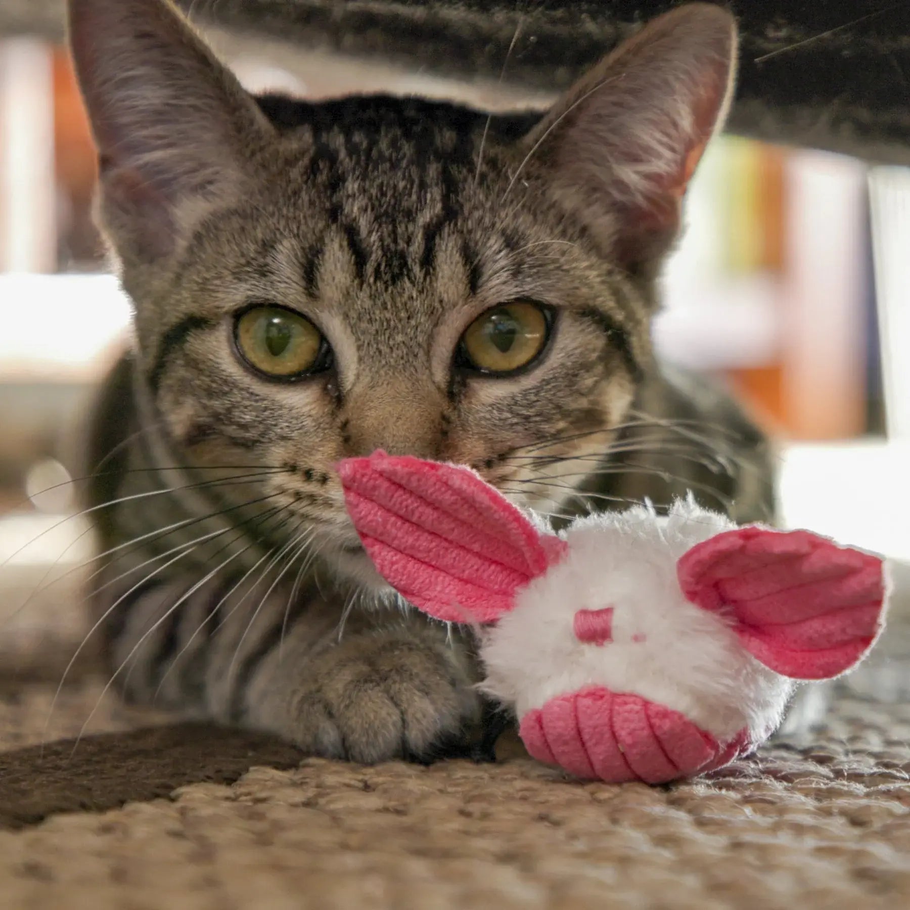 HuggleKats® Dust Bunnies Cat Toys, 3 Pack - HuggleHounds - Flyclothing LLC
