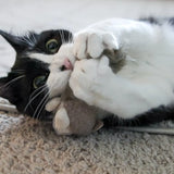 HuggleKats® Wee Fellar Squirrelie Cat Toy - HuggleHounds - Flyclothing LLC