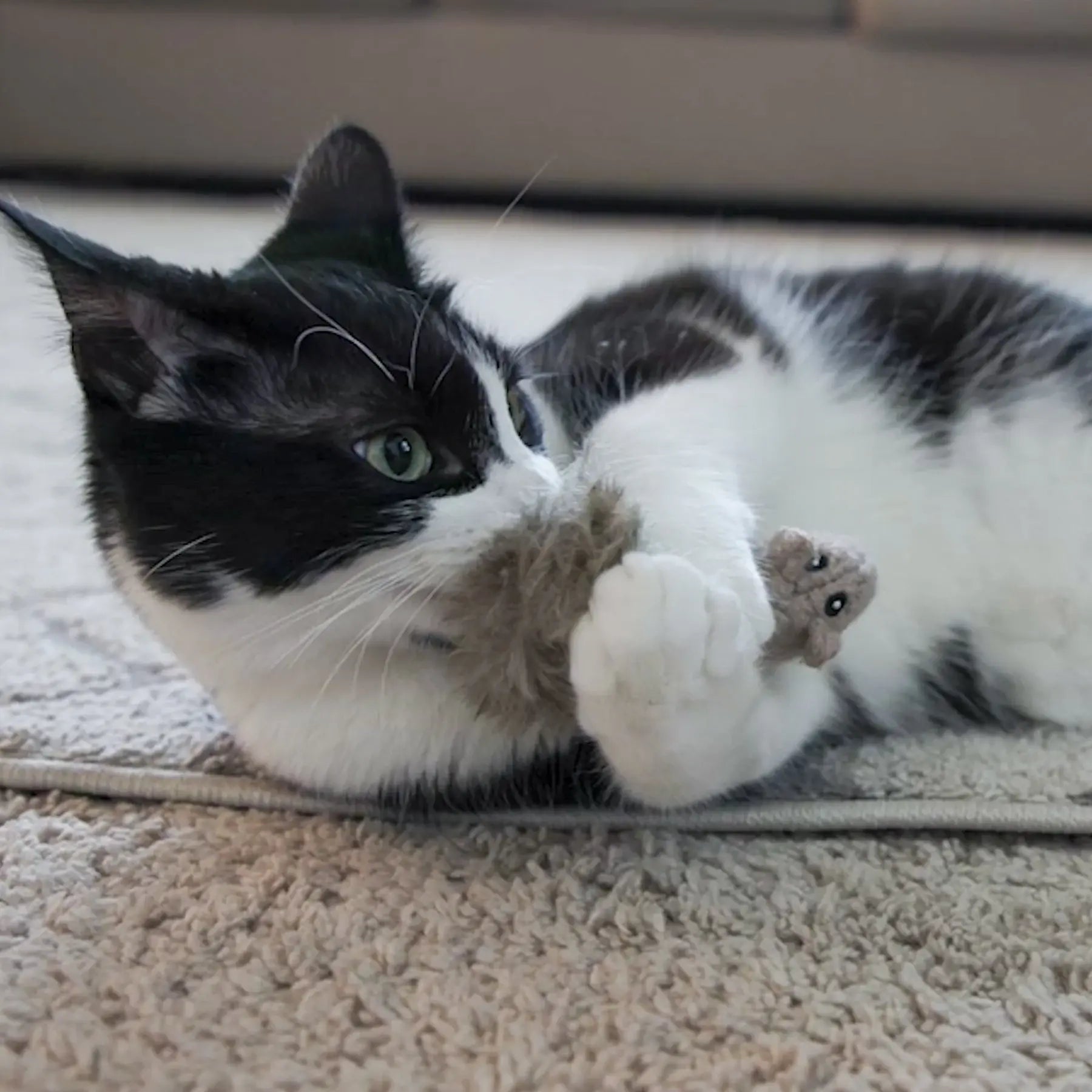HuggleKats® Wee Fellar Squirrelie Cat Toy - HuggleHounds - Flyclothing LLC