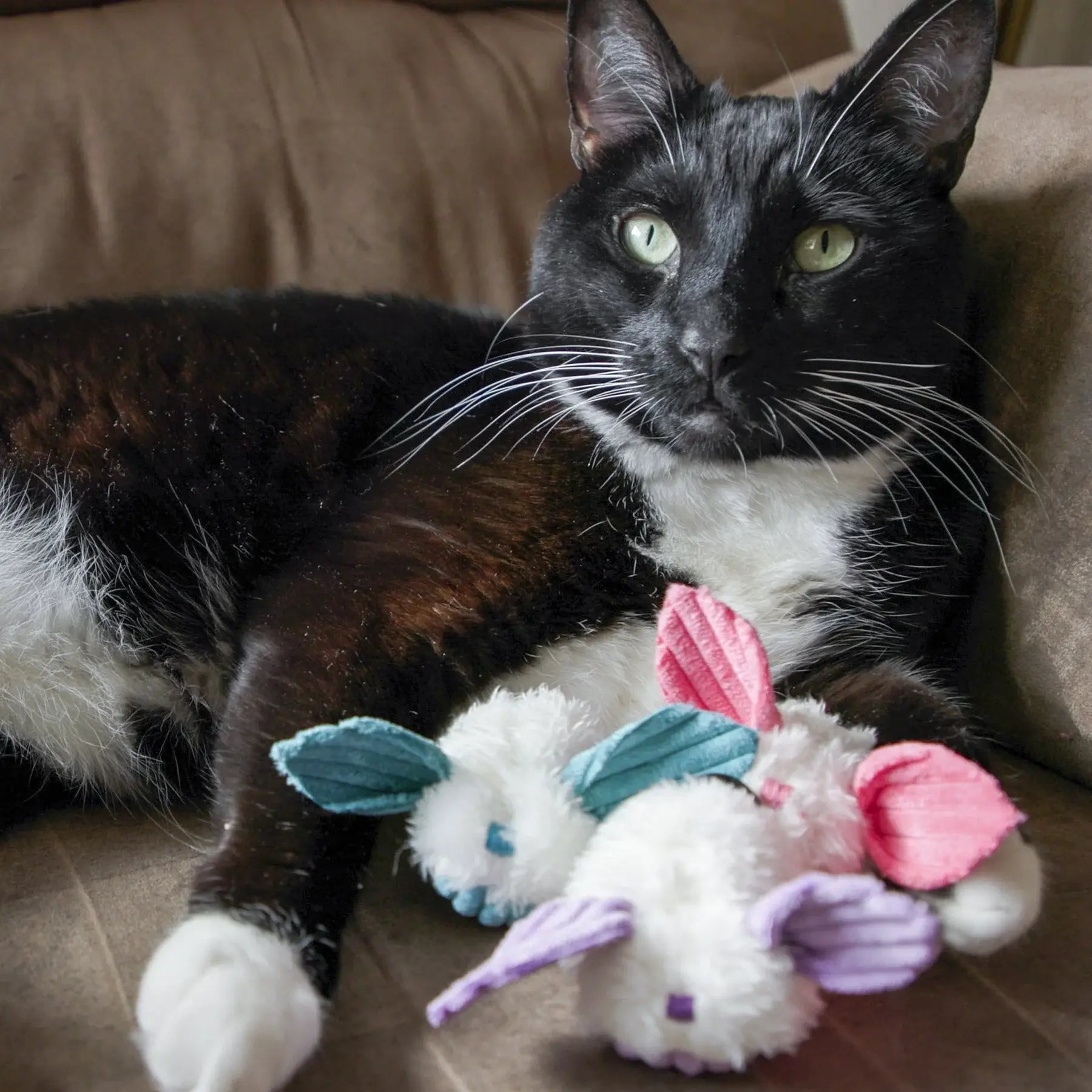 HuggleKats® Dust Bunnies Cat Toys, 3 Pack - HuggleHounds - Flyclothing LLC