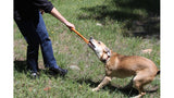 Pop Top Rubber Tug Toy for Interactive Play | Heavy Chewers | USA Made | SodaPup - SodaPup/True Dogs, LLC - Flyclothing LLC