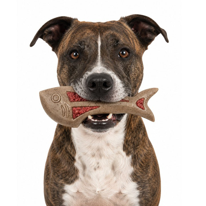 Dog Fish Nylon Dog Chew & Enrichment Toy | Ultra-Durable for Aggressive Chewers | SodaPup - SodaPup/True Dogs, LLC - Flyclothing LLC