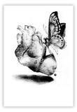 Black Market Art Company Surgery Print
