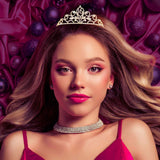 Sweet 16 Rhinestone Paved Birthday Party Princess Tiara - Madeline Love - Flyclothing LLC