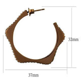TK2714 - IP Coffee light Stainless Steel Earrings with Top Grade Crystal in Clear - Alamode - Flyclothing LLC