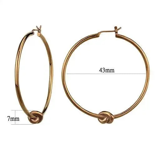 TK2853 - IP Coffee light Stainless Steel Earrings with No Stone - Alamode - Flyclothing LLC