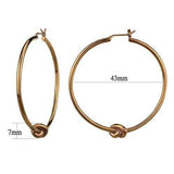 TK2853 - IP Coffee light Stainless Steel Earrings with No Stone - Alamode - Flyclothing LLC