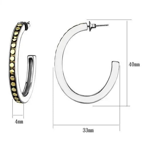 TK2891 - Two-Tone IP Gold (Ion Plating) Stainless Steel Earrings with Epoxy in Jet - Alamode - Flyclothing LLC