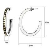 TK2891 - Two-Tone IP Gold (Ion Plating) Stainless Steel Earrings with Epoxy in Jet - Alamode - Flyclothing LLC