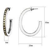 TK2891 - Two-Tone IP Gold (Ion Plating) Stainless Steel Earrings with Epoxy  in Jet - Alamode